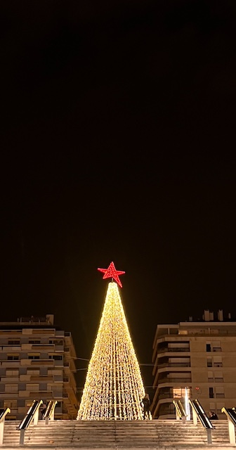 A brightly lit Christmas tree is silhouetted against a dark night sky.