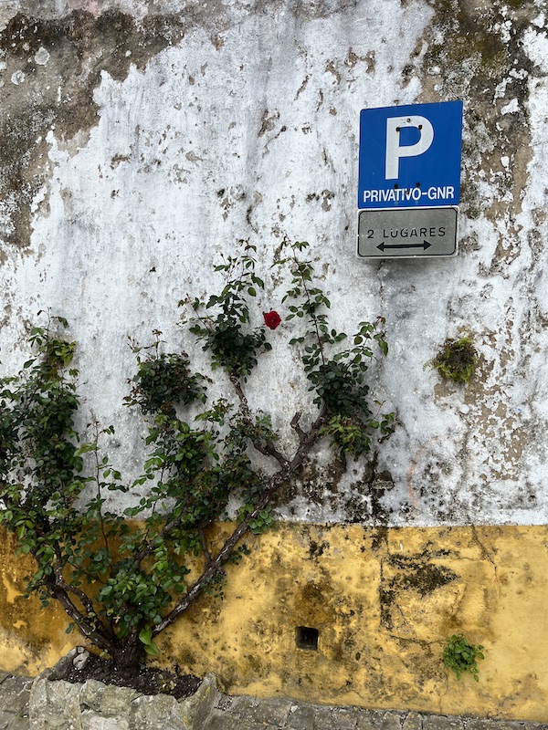 A red rose is barely visible against and aged white wall.